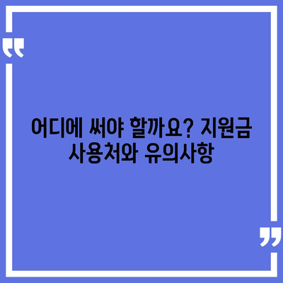 대구시 동구 방촌동 민생회복지원금 | 신청 | 신청방법 | 대상 | 지급일 | 사용처 | 전국민 | 이재명 | 2024