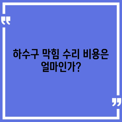 인천시 미추홀구 학익1동 하수구막힘 | 가격 | 비용 | 기름제거 | 싱크대 | 변기 | 세면대 | 역류 | 냄새차단 | 2024 후기