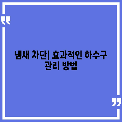 광주시 광산구 월곡1동 하수구막힘 | 가격 | 비용 | 기름제거 | 싱크대 | 변기 | 세면대 | 역류 | 냄새차단 | 2024 후기