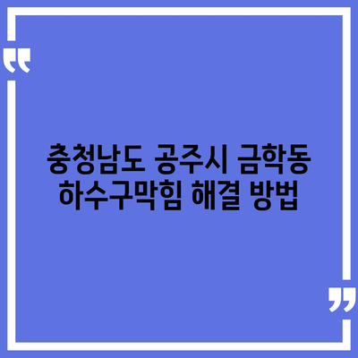 충청남도 공주시 금학동 하수구막힘 | 가격 | 비용 | 기름제거 | 싱크대 | 변기 | 세면대 | 역류 | 냄새차단 | 2024 후기