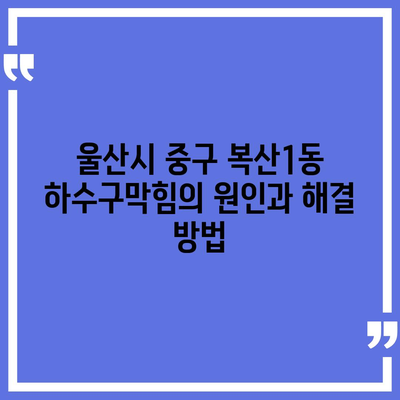 울산시 중구 복산1동 하수구막힘 | 가격 | 비용 | 기름제거 | 싱크대 | 변기 | 세면대 | 역류 | 냄새차단 | 2024 후기