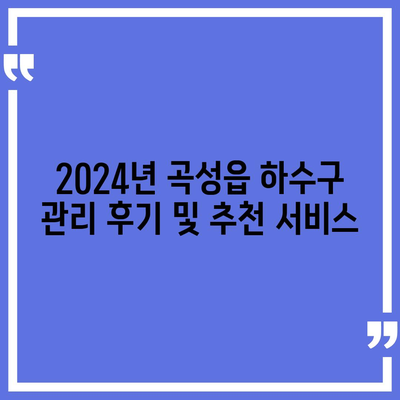 전라남도 곡성군 곡성읍 하수구막힘 | 가격 | 비용 | 기름제거 | 싱크대 | 변기 | 세면대 | 역류 | 냄새차단 | 2024 후기