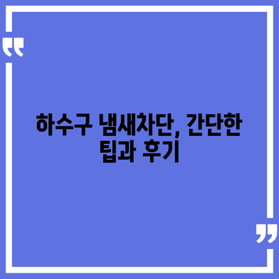 제주도 제주시 이도2동 하수구막힘 | 가격 | 비용 | 기름제거 | 싱크대 | 변기 | 세면대 | 역류 | 냄새차단 | 2024 후기