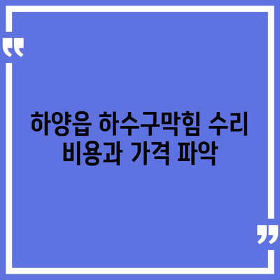 경상북도 경산시 하양읍 하수구막힘 | 가격 | 비용 | 기름제거 | 싱크대 | 변기 | 세면대 | 역류 | 냄새차단 | 2024 후기