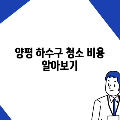 경기도 양평군 청운면 하수구막힘 | 가격 | 비용 | 기름제거 | 싱크대 | 변기 | 세면대 | 역류 | 냄새차단 | 2024 후기