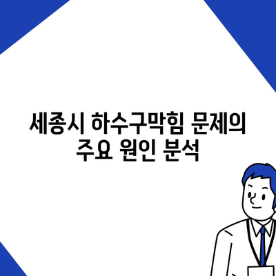 세종시 세종특별자치시 부강면 하수구막힘 | 가격 | 비용 | 기름제거 | 싱크대 | 변기 | 세면대 | 역류 | 냄새차단 | 2024 후기