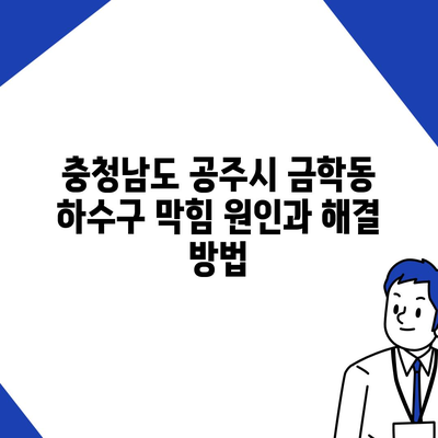 충청남도 공주시 금학동 하수구막힘 | 가격 | 비용 | 기름제거 | 싱크대 | 변기 | 세면대 | 역류 | 냄새차단 | 2024 후기