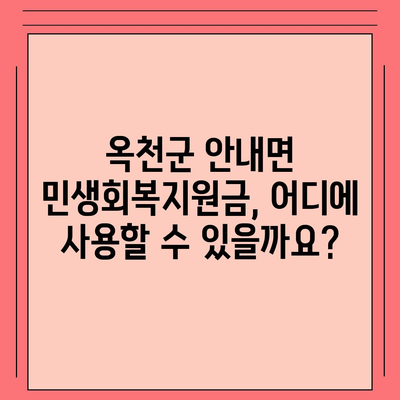 충청북도 옥천군 안내면 민생회복지원금 | 신청 | 신청방법 | 대상 | 지급일 | 사용처 | 전국민 | 이재명 | 2024