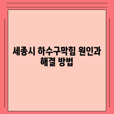 세종시 세종특별자치시 금남면 하수구막힘 | 가격 | 비용 | 기름제거 | 싱크대 | 변기 | 세면대 | 역류 | 냄새차단 | 2024 후기