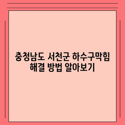 충청남도 서천군 마산면 하수구막힘 | 가격 | 비용 | 기름제거 | 싱크대 | 변기 | 세면대 | 역류 | 냄새차단 | 2024 후기