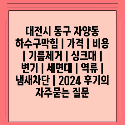 대전시 동구 자양동 하수구막힘 | 가격 | 비용 | 기름제거 | 싱크대 | 변기 | 세면대 | 역류 | 냄새차단 | 2024 후기