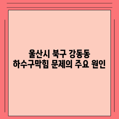 울산시 북구 강동동 하수구막힘 | 가격 | 비용 | 기름제거 | 싱크대 | 변기 | 세면대 | 역류 | 냄새차단 | 2024 후기