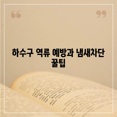 서울시 금천구 시흥제4동 하수구막힘 | 가격 | 비용 | 기름제거 | 싱크대 | 변기 | 세면대 | 역류 | 냄새차단 | 2024 후기