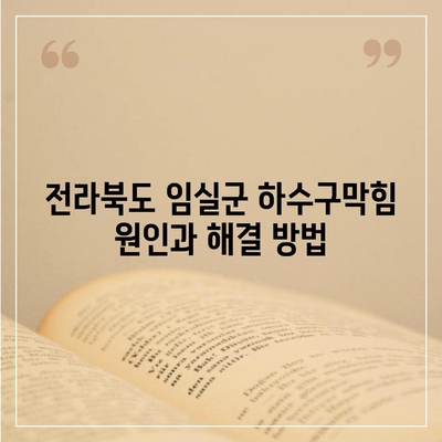 전라북도 임실군 신덕면 하수구막힘 | 가격 | 비용 | 기름제거 | 싱크대 | 변기 | 세면대 | 역류 | 냄새차단 | 2024 후기