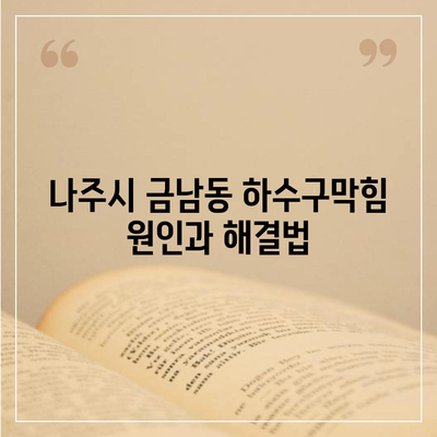 전라남도 나주시 금남동 하수구막힘 | 가격 | 비용 | 기름제거 | 싱크대 | 변기 | 세면대 | 역류 | 냄새차단 | 2024 후기