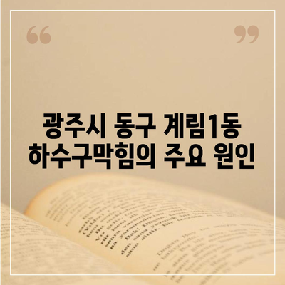 광주시 동구 계림1동 하수구막힘 | 가격 | 비용 | 기름제거 | 싱크대 | 변기 | 세면대 | 역류 | 냄새차단 | 2024 후기