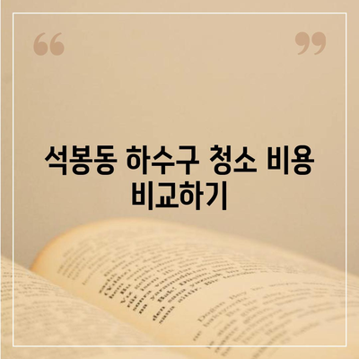 대전시 대덕구 석봉동 하수구막힘 | 가격 | 비용 | 기름제거 | 싱크대 | 변기 | 세면대 | 역류 | 냄새차단 | 2024 후기