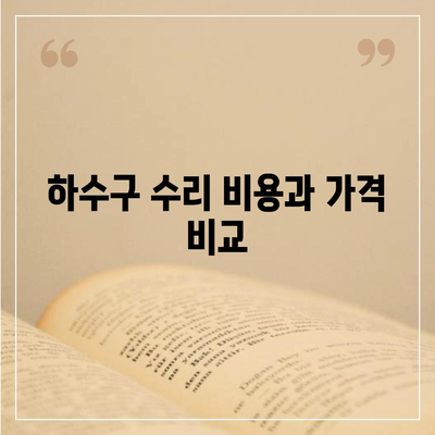 대전시 서구 복수동 하수구막힘 | 가격 | 비용 | 기름제거 | 싱크대 | 변기 | 세면대 | 역류 | 냄새차단 | 2024 후기