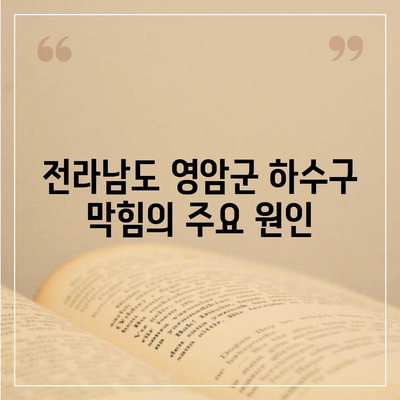 전라남도 영암군 금정면 하수구막힘 | 가격 | 비용 | 기름제거 | 싱크대 | 변기 | 세면대 | 역류 | 냄새차단 | 2024 후기