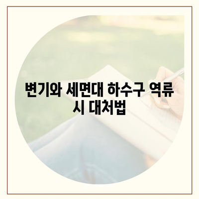 서울시 성동구 마장동 하수구막힘 | 가격 | 비용 | 기름제거 | 싱크대 | 변기 | 세면대 | 역류 | 냄새차단 | 2024 후기