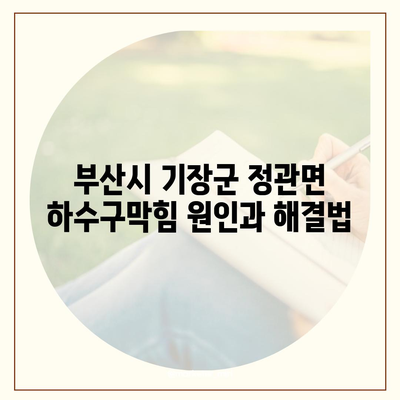 부산시 기장군 정관면 하수구막힘 | 가격 | 비용 | 기름제거 | 싱크대 | 변기 | 세면대 | 역류 | 냄새차단 | 2024 후기