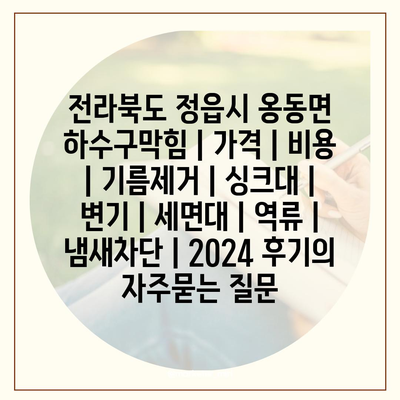 전라북도 정읍시 옹동면 하수구막힘 | 가격 | 비용 | 기름제거 | 싱크대 | 변기 | 세면대 | 역류 | 냄새차단 | 2024 후기