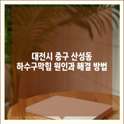 대전시 중구 산성동 하수구막힘 | 가격 | 비용 | 기름제거 | 싱크대 | 변기 | 세면대 | 역류 | 냄새차단 | 2024 후기