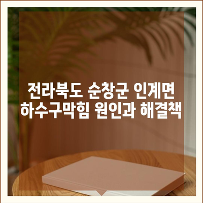 전라북도 순창군 인계면 하수구막힘 | 가격 | 비용 | 기름제거 | 싱크대 | 변기 | 세면대 | 역류 | 냄새차단 | 2024 후기