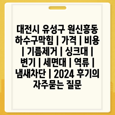 대전시 유성구 원신흥동 하수구막힘 | 가격 | 비용 | 기름제거 | 싱크대 | 변기 | 세면대 | 역류 | 냄새차단 | 2024 후기