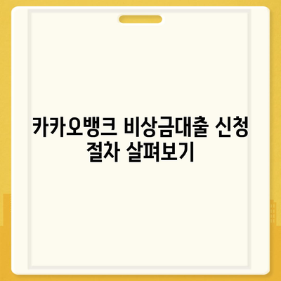 카카오뱅크 pc버전 비상금대출 pc버전 신용점수