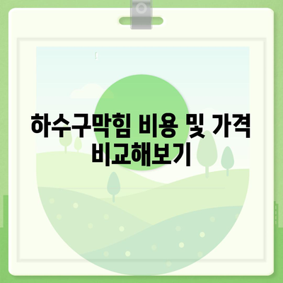 경기도 여주시 금사면 하수구막힘 | 가격 | 비용 | 기름제거 | 싱크대 | 변기 | 세면대 | 역류 | 냄새차단 | 2024 후기