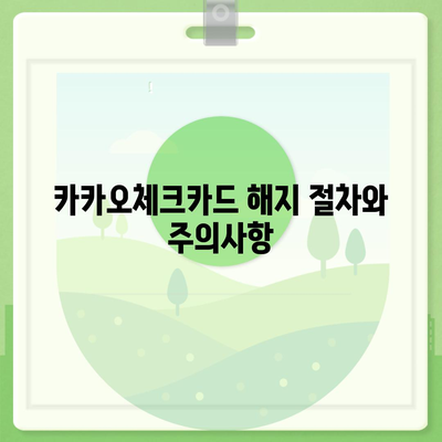 카카오체크카드 신청, 발급, 해지 절차