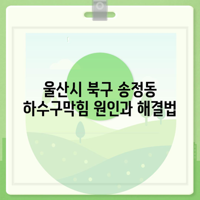 울산시 북구 송정동 하수구막힘 | 가격 | 비용 | 기름제거 | 싱크대 | 변기 | 세면대 | 역류 | 냄새차단 | 2024 후기