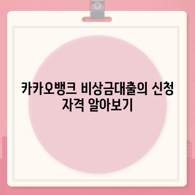 카카오뱅크 비상금대출 신청