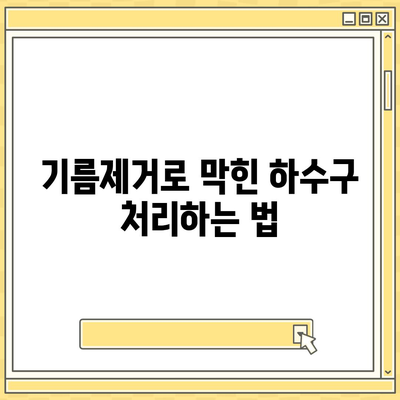 경기도 포천시 신북면 하수구막힘 | 가격 | 비용 | 기름제거 | 싱크대 | 변기 | 세면대 | 역류 | 냄새차단 | 2024 후기