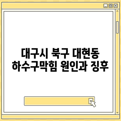 대구시 북구 대현동 하수구막힘 | 가격 | 비용 | 기름제거 | 싱크대 | 변기 | 세면대 | 역류 | 냄새차단 | 2024 후기