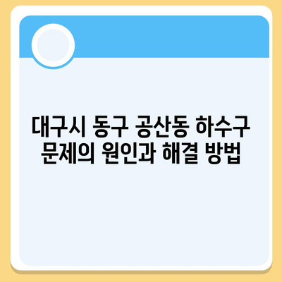 대구시 동구 공산동 하수구막힘 | 가격 | 비용 | 기름제거 | 싱크대 | 변기 | 세면대 | 역류 | 냄새차단 | 2024 후기