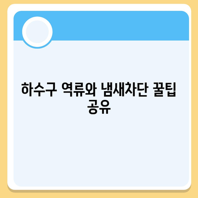 울산시 북구 양정동 하수구막힘 | 가격 | 비용 | 기름제거 | 싱크대 | 변기 | 세면대 | 역류 | 냄새차단 | 2024 후기