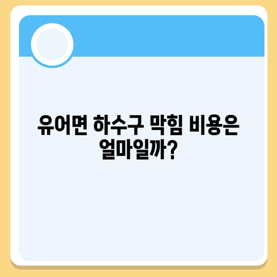 경상남도 창녕군 유어면 하수구막힘 | 가격 | 비용 | 기름제거 | 싱크대 | 변기 | 세면대 | 역류 | 냄새차단 | 2024 후기