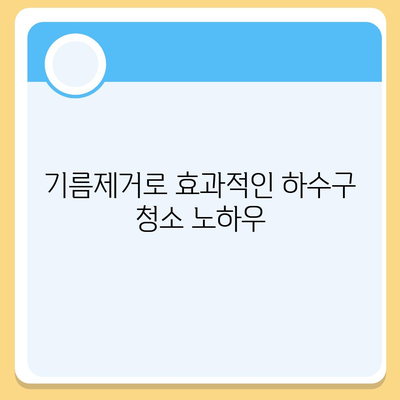 대전시 서구 변동 하수구막힘 | 가격 | 비용 | 기름제거 | 싱크대 | 변기 | 세면대 | 역류 | 냄새차단 | 2024 후기