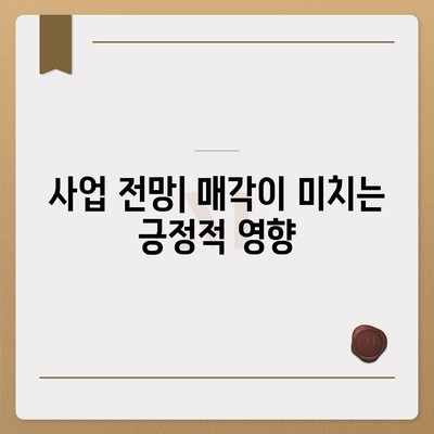 카카오 계열사 매각 | 사업 전망에 미치는 영향