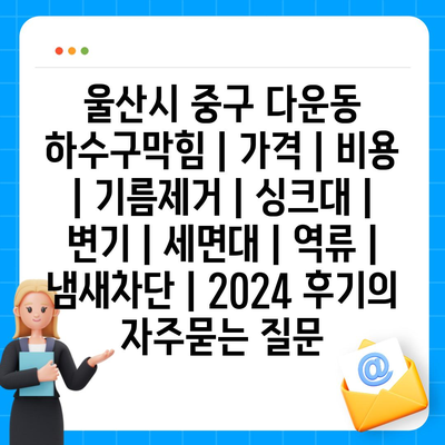 울산시 중구 다운동 하수구막힘 | 가격 | 비용 | 기름제거 | 싱크대 | 변기 | 세면대 | 역류 | 냄새차단 | 2024 후기