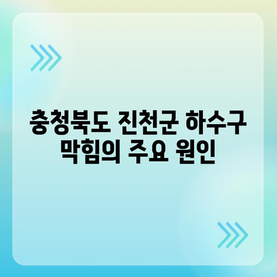 충청북도 진천군 이월면 하수구막힘 | 가격 | 비용 | 기름제거 | 싱크대 | 변기 | 세면대 | 역류 | 냄새차단 | 2024 후기