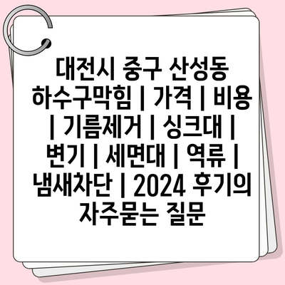 대전시 중구 산성동 하수구막힘 | 가격 | 비용 | 기름제거 | 싱크대 | 변기 | 세면대 | 역류 | 냄새차단 | 2024 후기