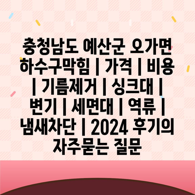 충청남도 예산군 오가면 하수구막힘 | 가격 | 비용 | 기름제거 | 싱크대 | 변기 | 세면대 | 역류 | 냄새차단 | 2024 후기