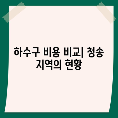 경상북도 청송군 현서면 하수구막힘 | 가격 | 비용 | 기름제거 | 싱크대 | 변기 | 세면대 | 역류 | 냄새차단 | 2024 후기