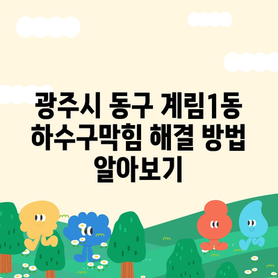 광주시 동구 계림1동 하수구막힘 | 가격 | 비용 | 기름제거 | 싱크대 | 변기 | 세면대 | 역류 | 냄새차단 | 2024 후기