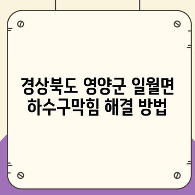 경상북도 영양군 일월면 하수구막힘 | 가격 | 비용 | 기름제거 | 싱크대 | 변기 | 세면대 | 역류 | 냄새차단 | 2024 후기