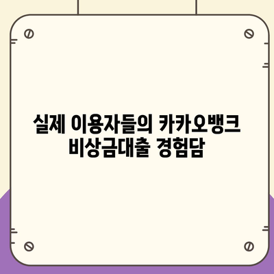 카카오뱅크 비상금대출 후기