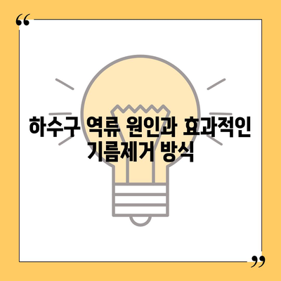 대전시 중구 유천2동 하수구막힘 | 가격 | 비용 | 기름제거 | 싱크대 | 변기 | 세면대 | 역류 | 냄새차단 | 2024 후기